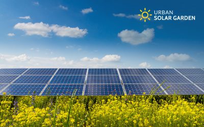 News Articles Featuring The Urban Solar Garden