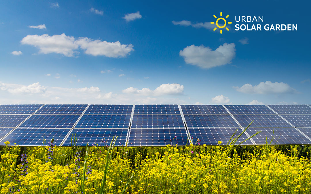 News Articles Featuring The Urban Solar Garden